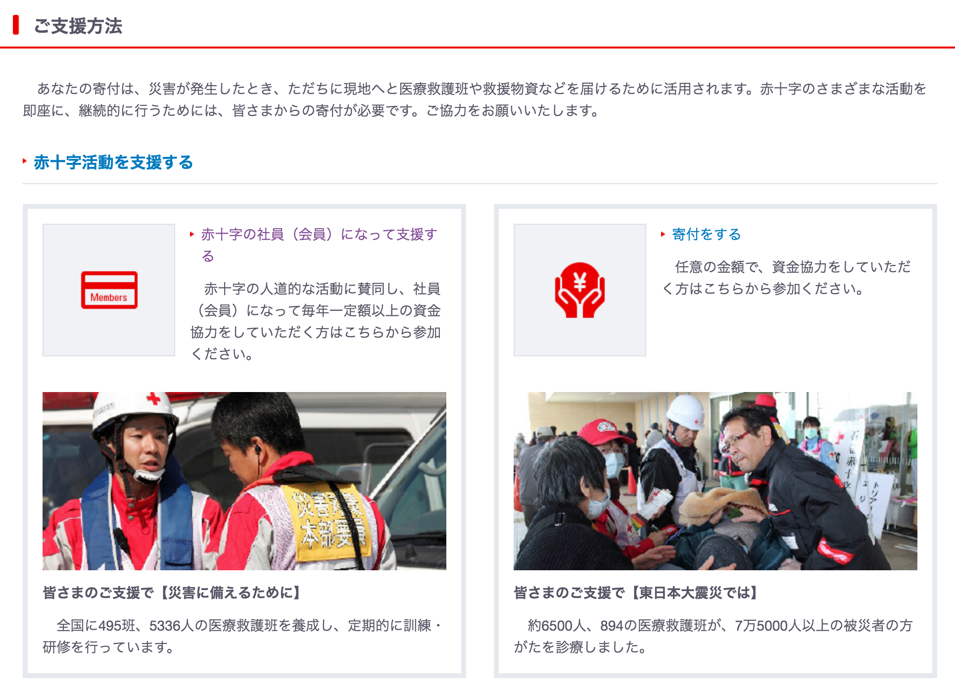 日本赤十字社の社員になってみました