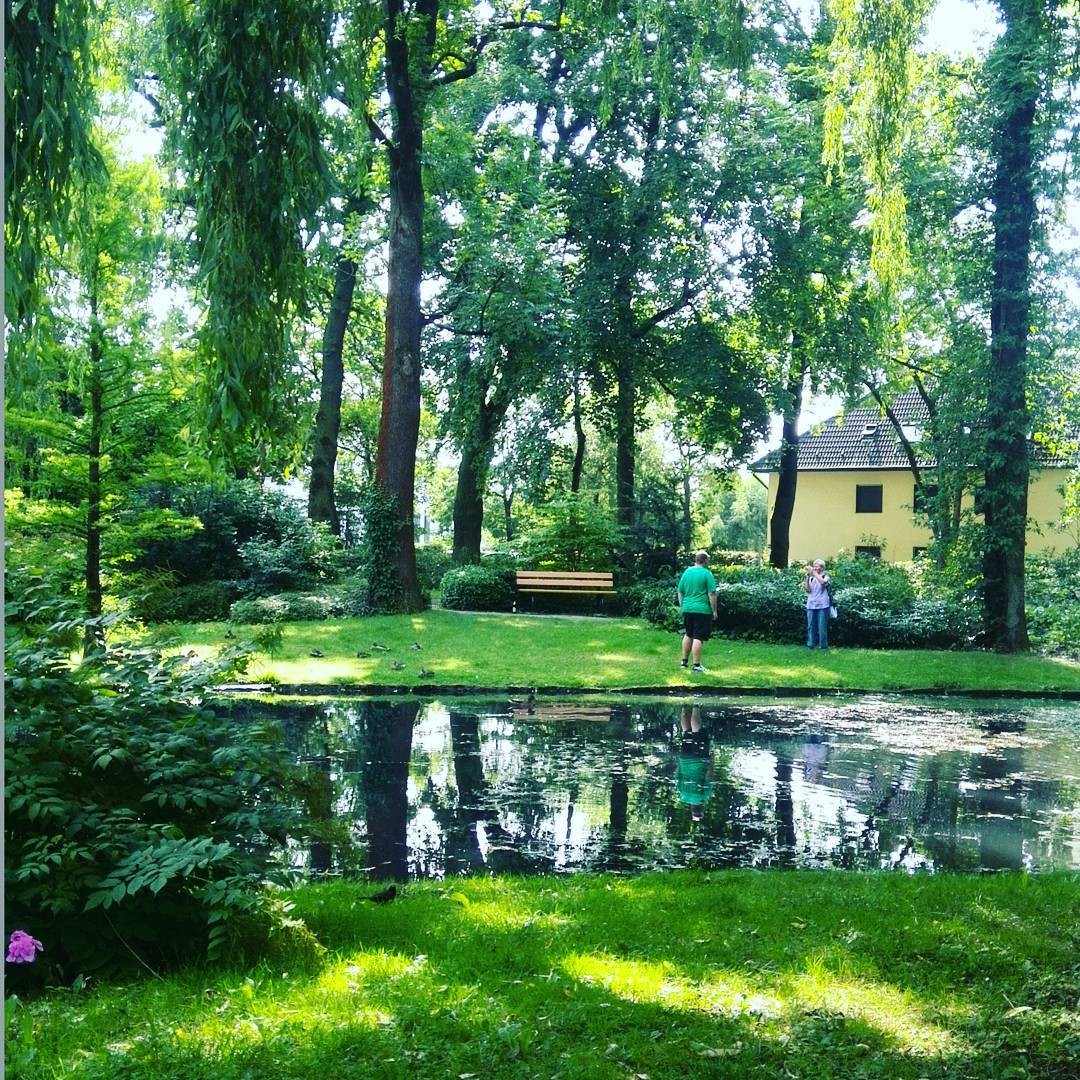 13703207_971778556273370_1487206805_n