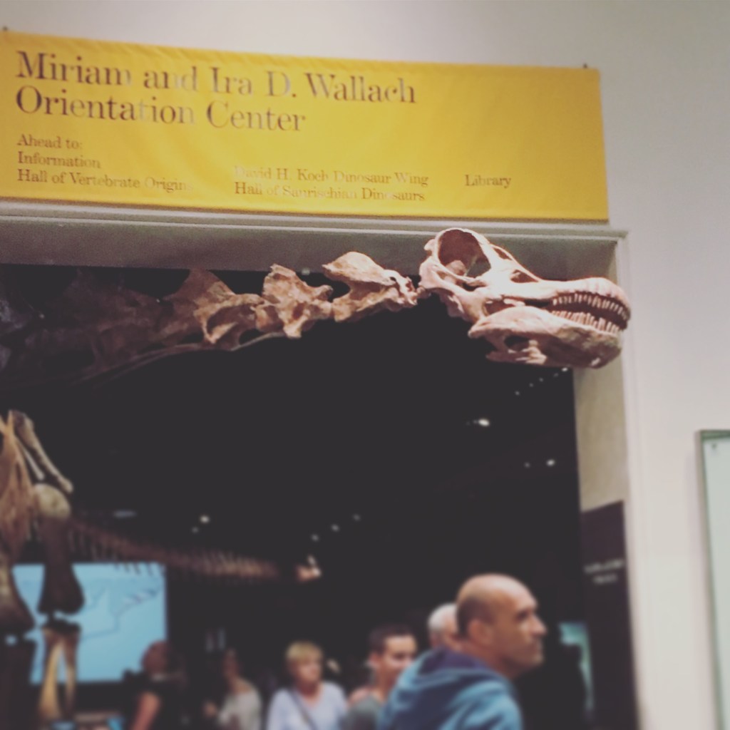 [NY2017]Chelseaで朝の散歩＆アメリカ自然史博物館へ