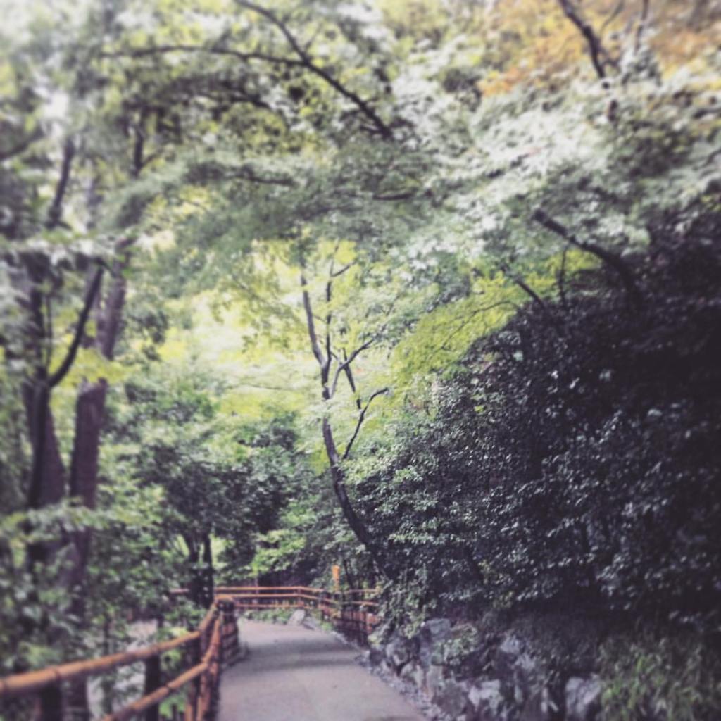 秋の東京旅7：お庭が美しい満足宿「ホテル椿山荘東京」のお一人様宿泊